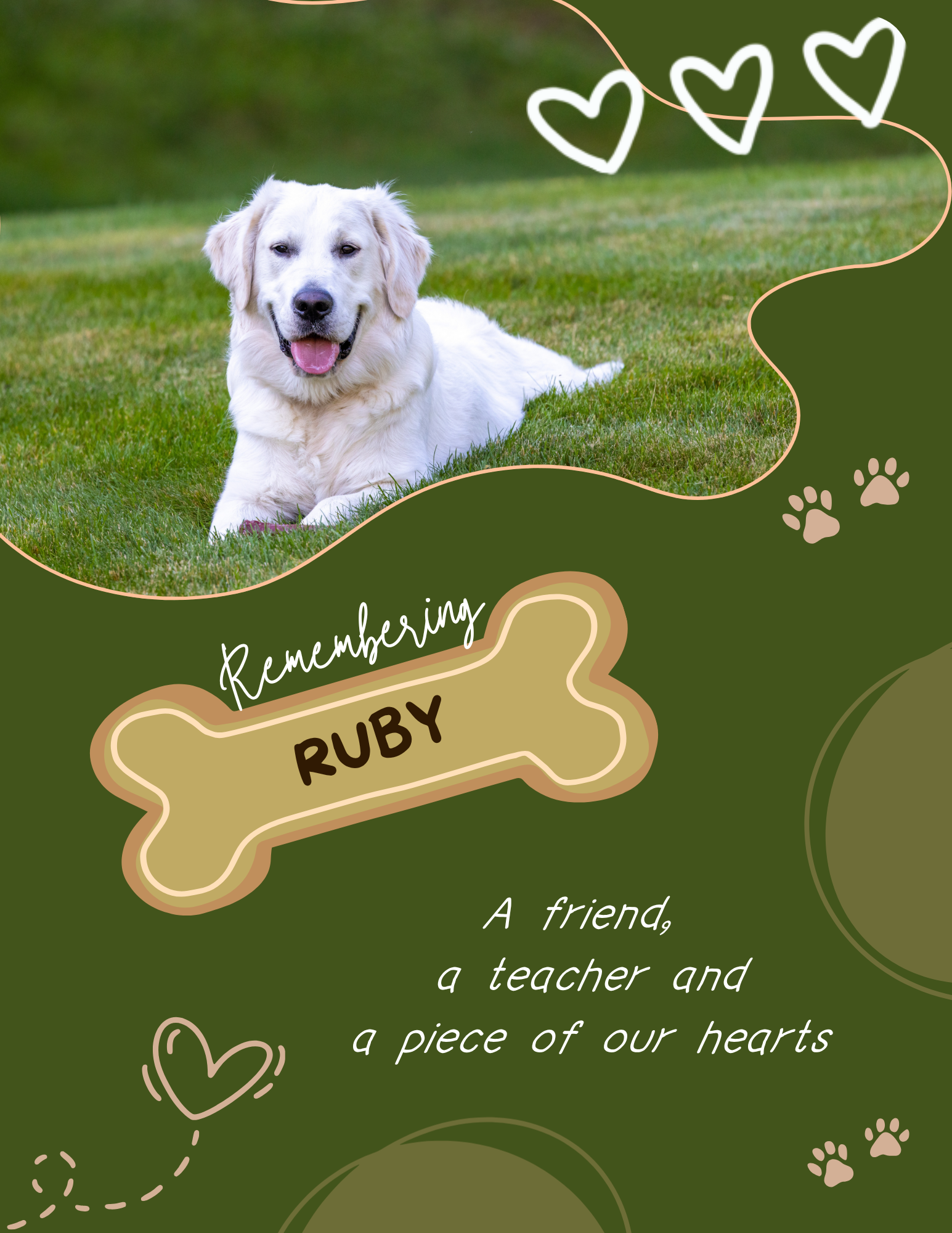 Milestone Birthday Book